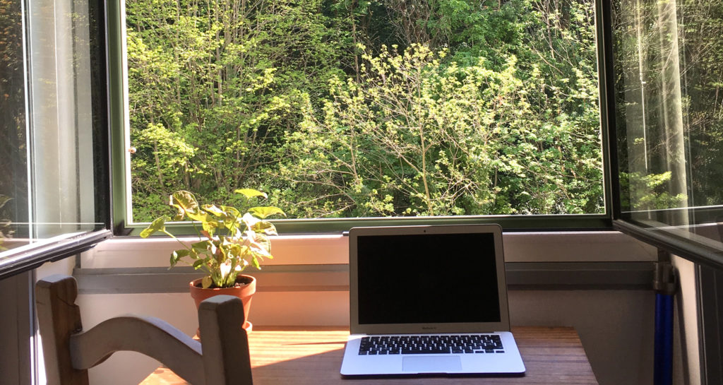 Consultation naturopathe confinement