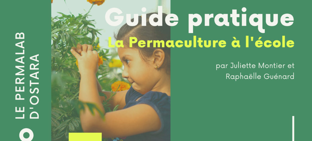 Guide pratique de la permaculture à l'école
