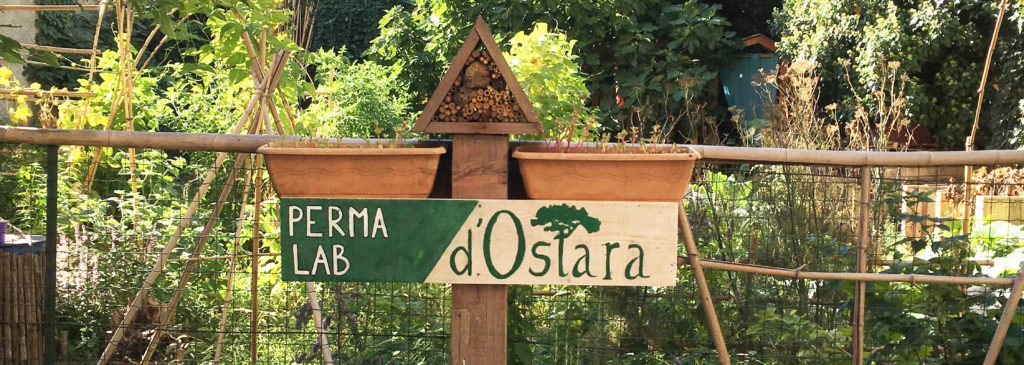 naturopathie herboristerie Lyon