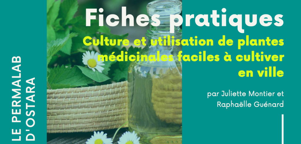 plantes médicinales