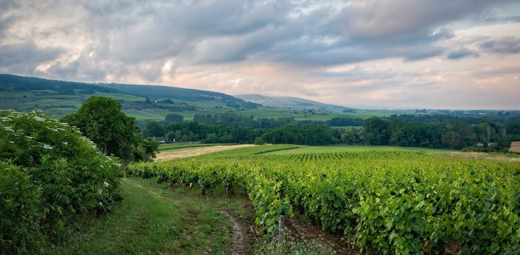 weekend decouverte permaculture humaine lyon 2023