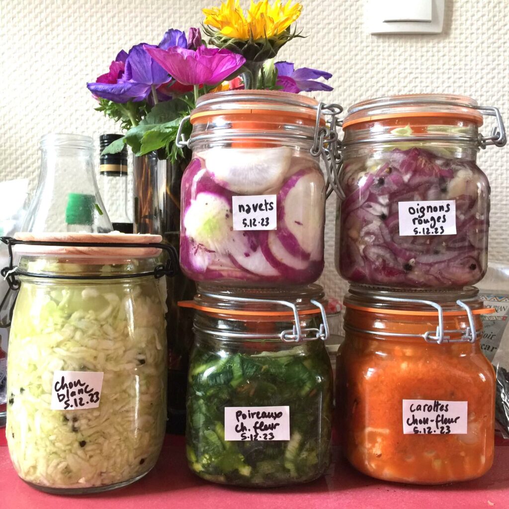 atelier lacto fermentation Lyon
