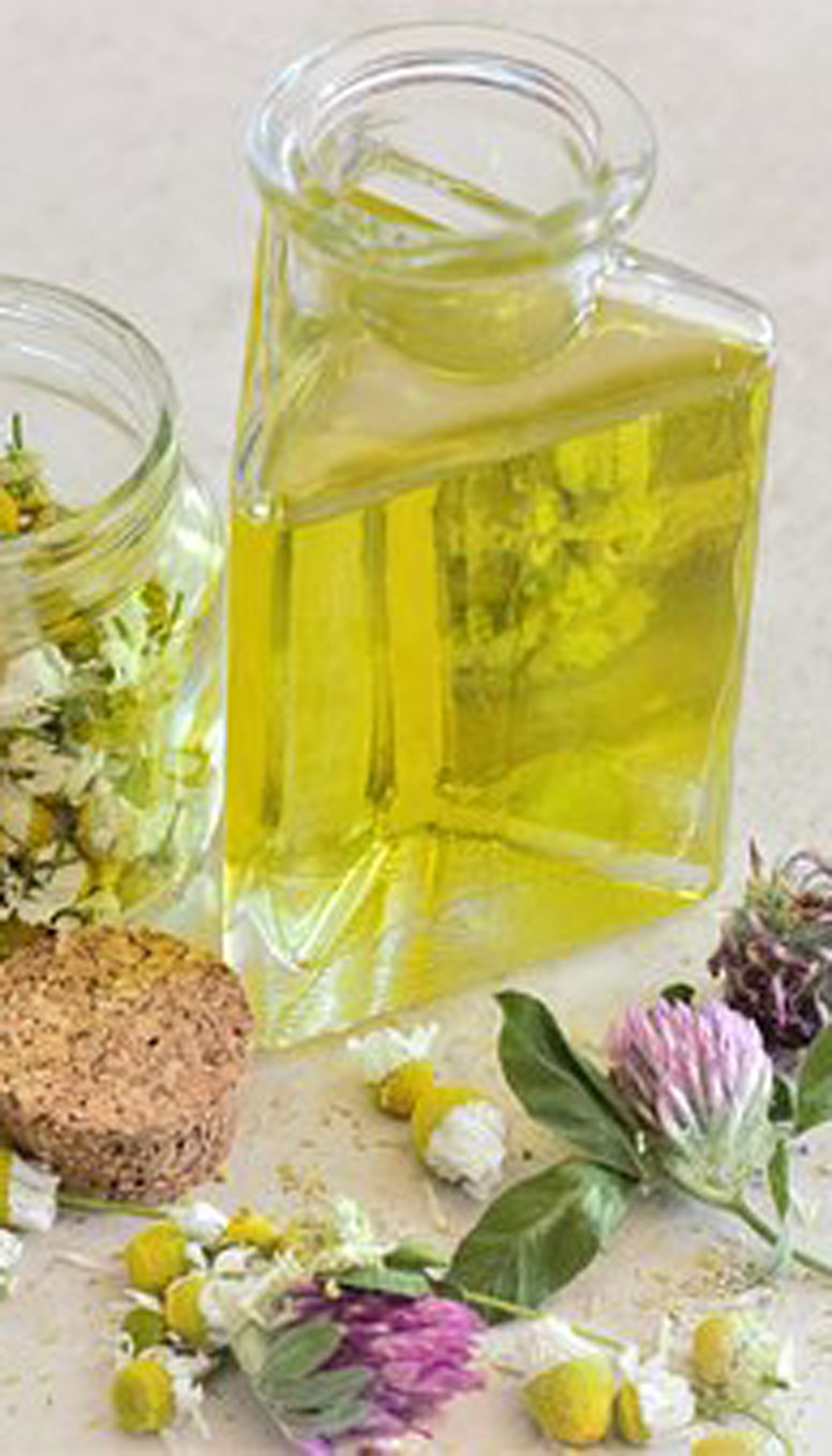 Plantes médicinales, camomille et équilibre du système nerveux