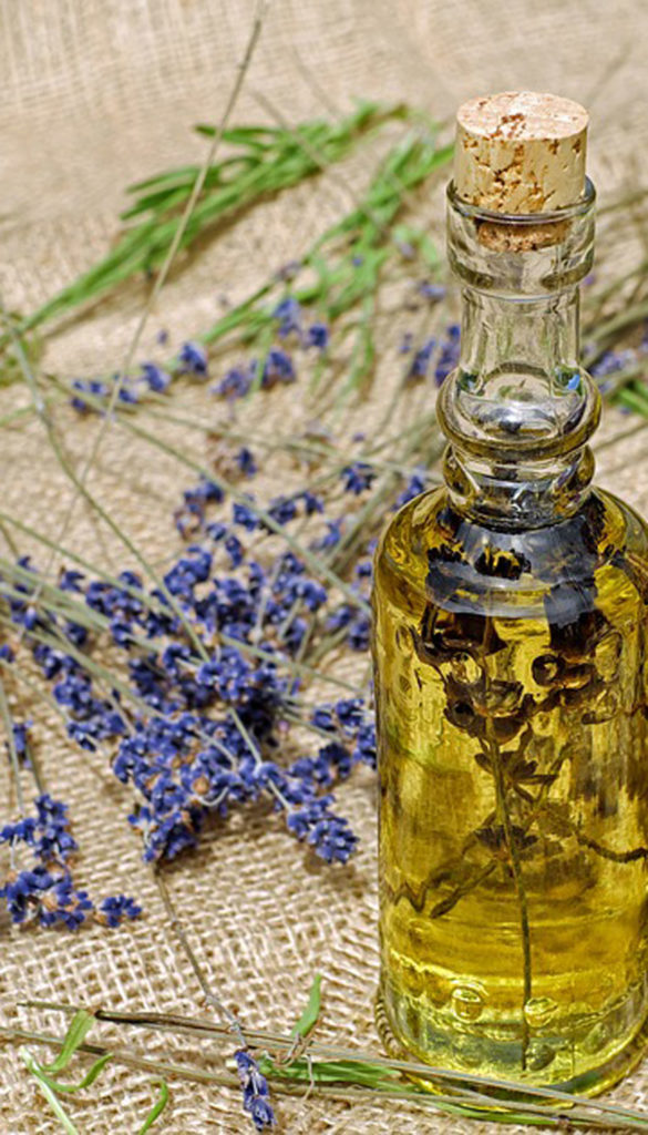 coaching bien-être, naturopathie et outils naturels