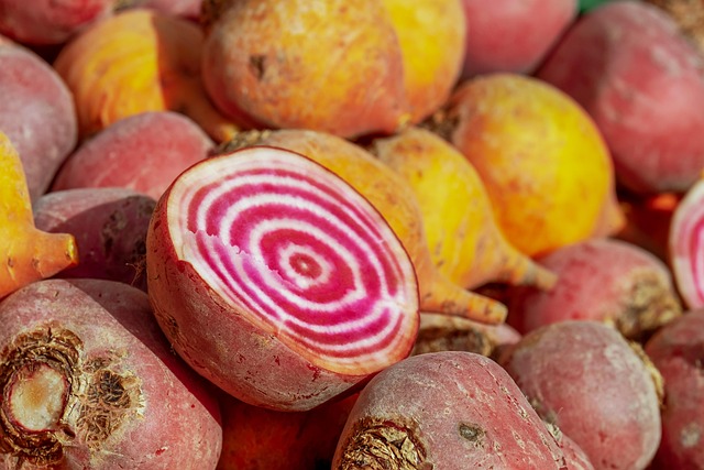 oxalates betteraves alimentation