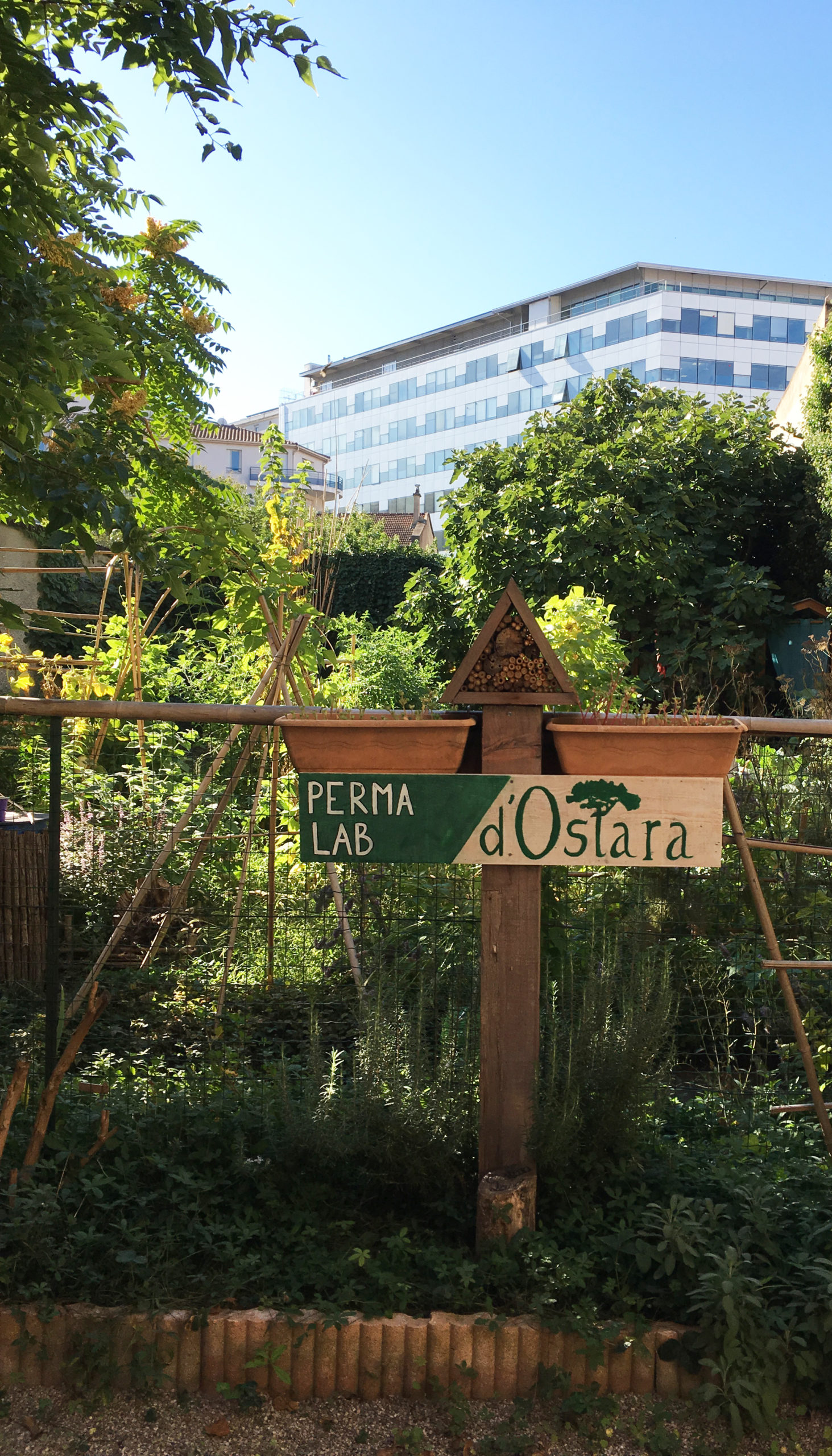 Atelier permaculture et soin à soi