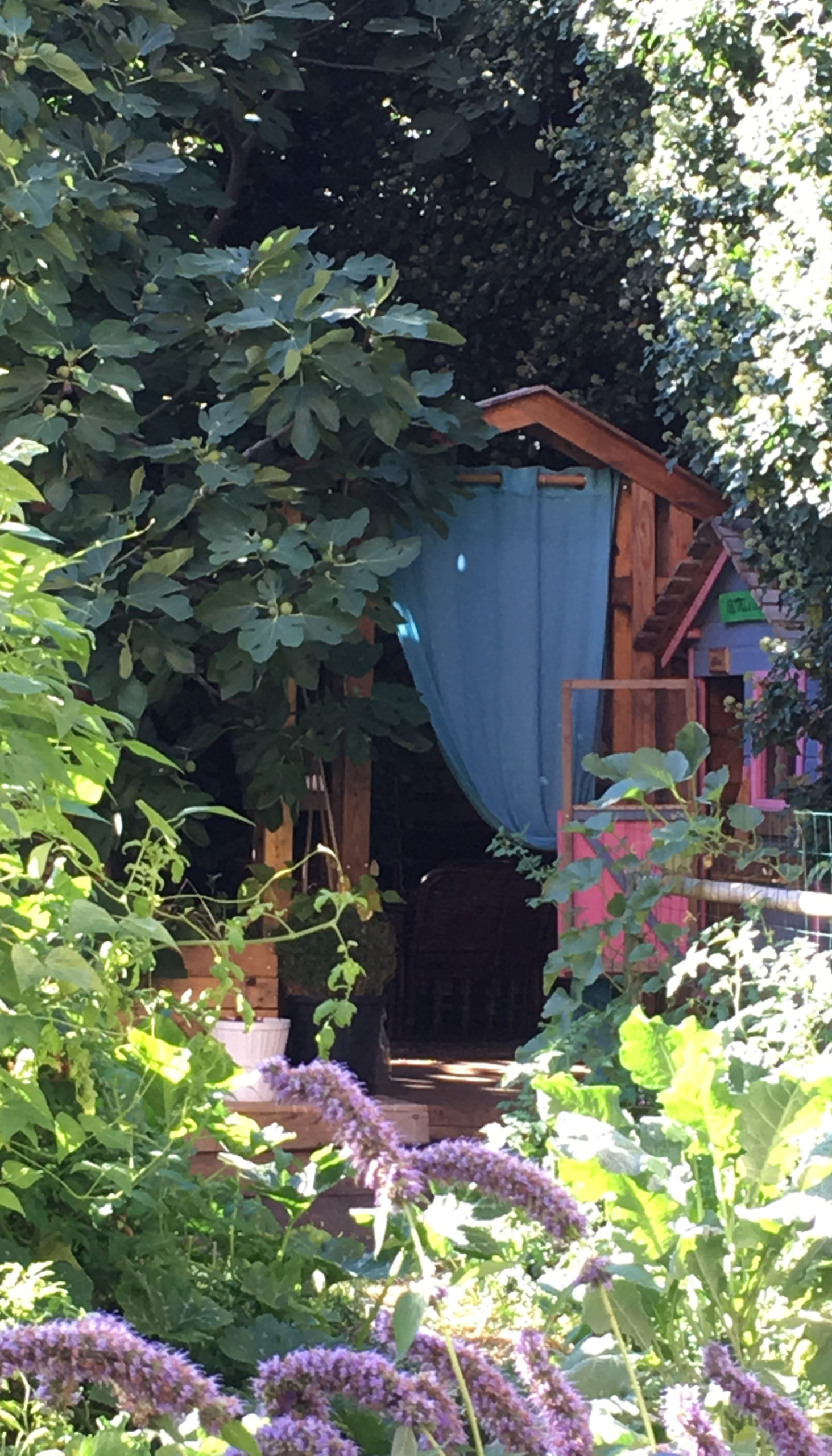 Atelier permaculture et design de vie