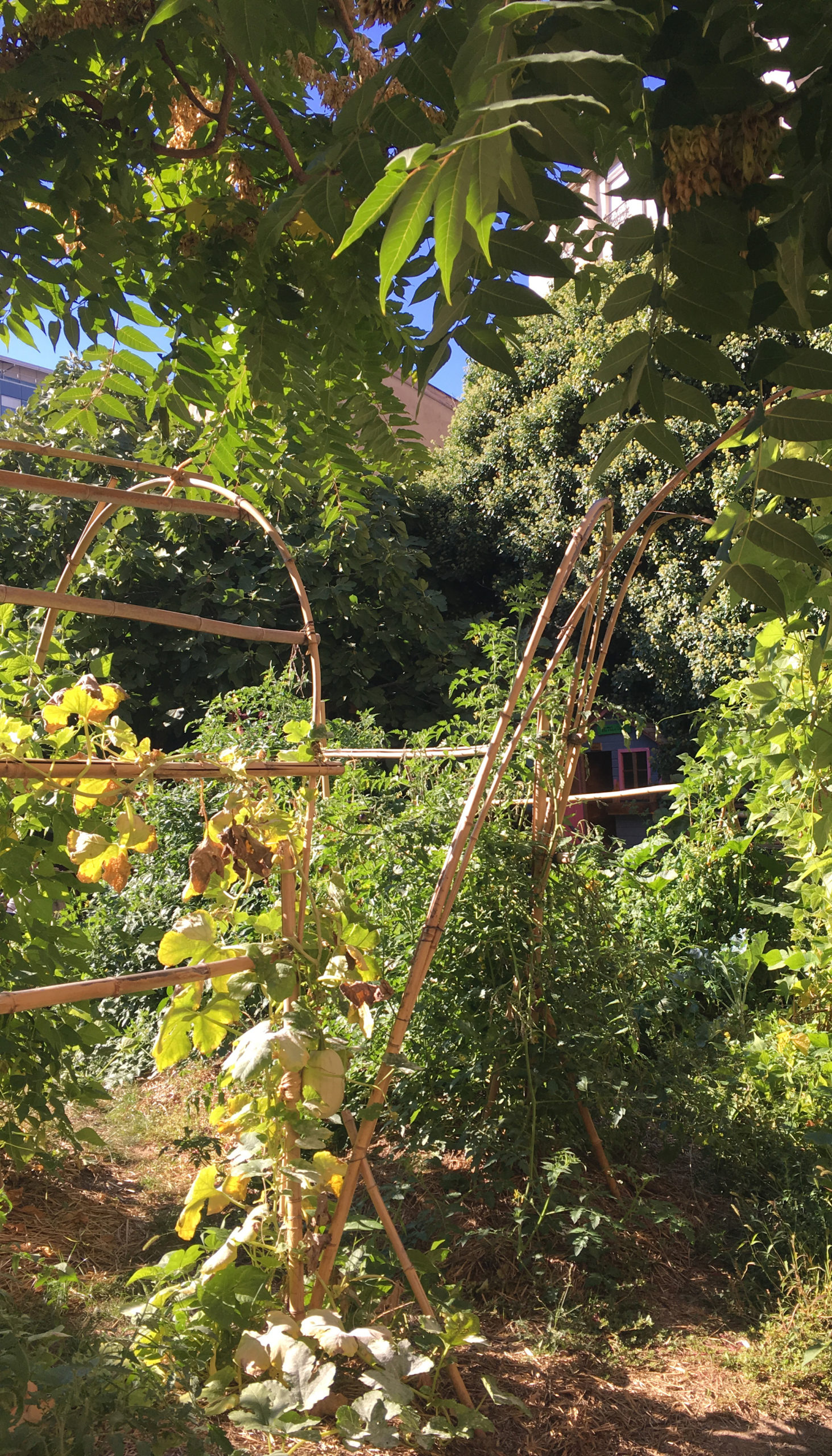 Atelier permaculture et nutrition santé Lyon