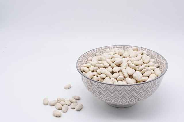 protéines nutrition naturopathie Lyon